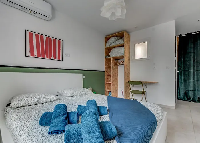 Les Cactus Bleus 35m2 , Quartier Des Minimes * Toulouse