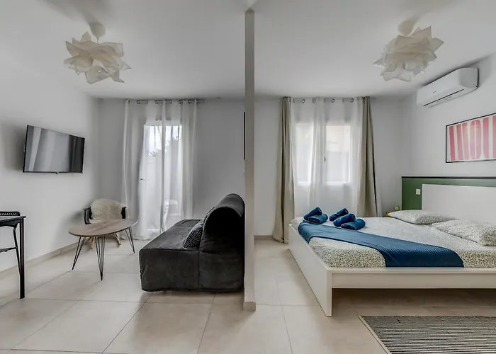 Les Cactus Bleus 35m2 , Quartier Des Minimes * Toulouse